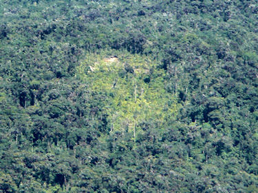 parcela habitantes no-contactados