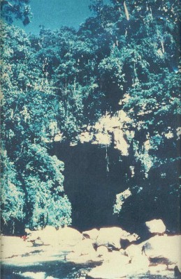 Click: for enlarged view - para vista ampliada