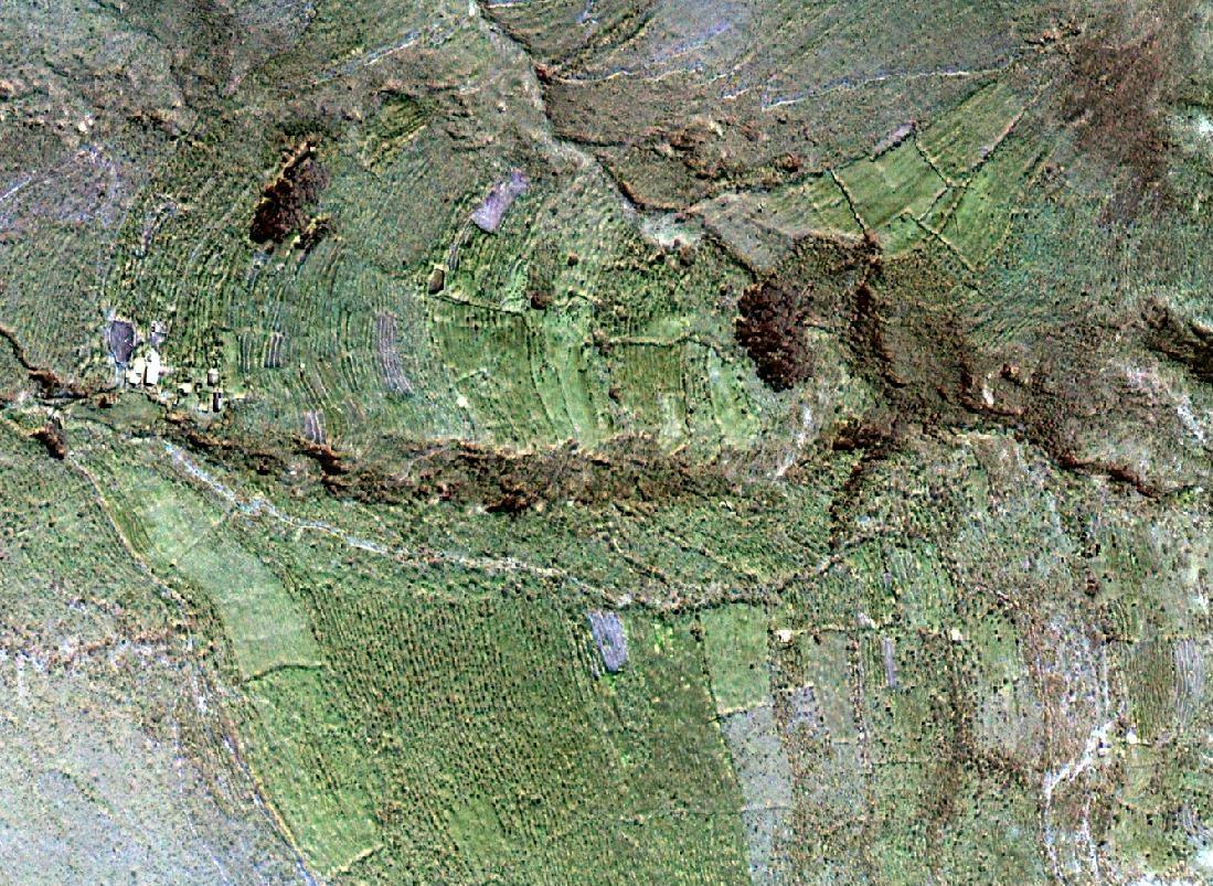Click on image to enlarge
